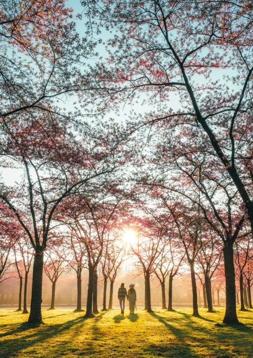 Walk Within Sunrise